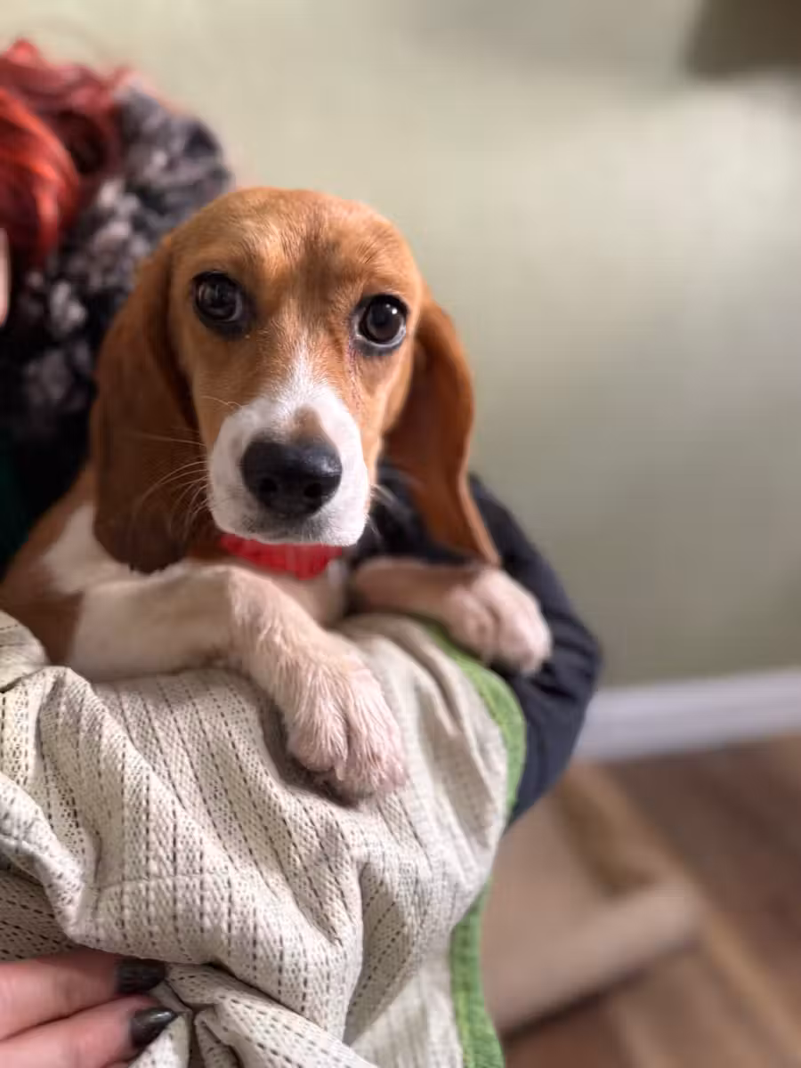 After a lifetime in a cage, she's finally home.