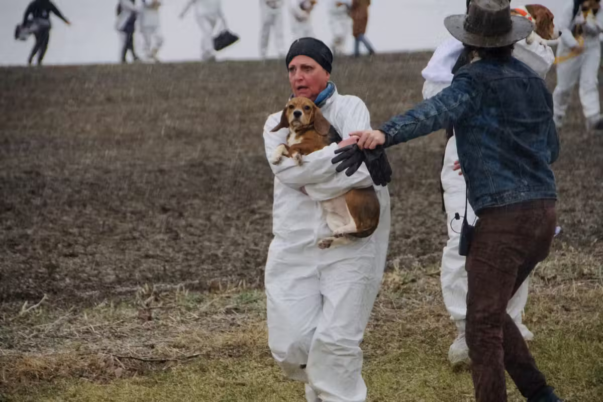 A rescuer carries a beagle across a frozen field. For many of these dogs, it was the first time being outside.