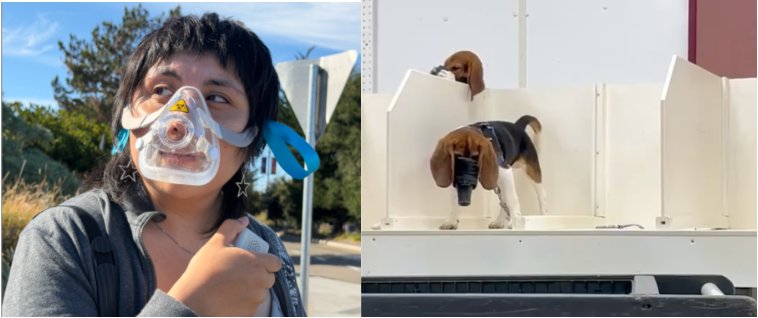 Left: an activist wearing a clear inhalation mask with a biohazard sticker. Right: a beagle in a laboratory wearing an inhalation mask.